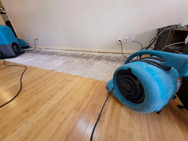 Professional Basement Flood Cleanup technician working in Oak Hill, OH